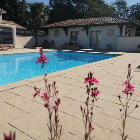 Gite L'Escapade Au Bassin D'Arcachon A بيغانوس المظهر الخارجي الصورة