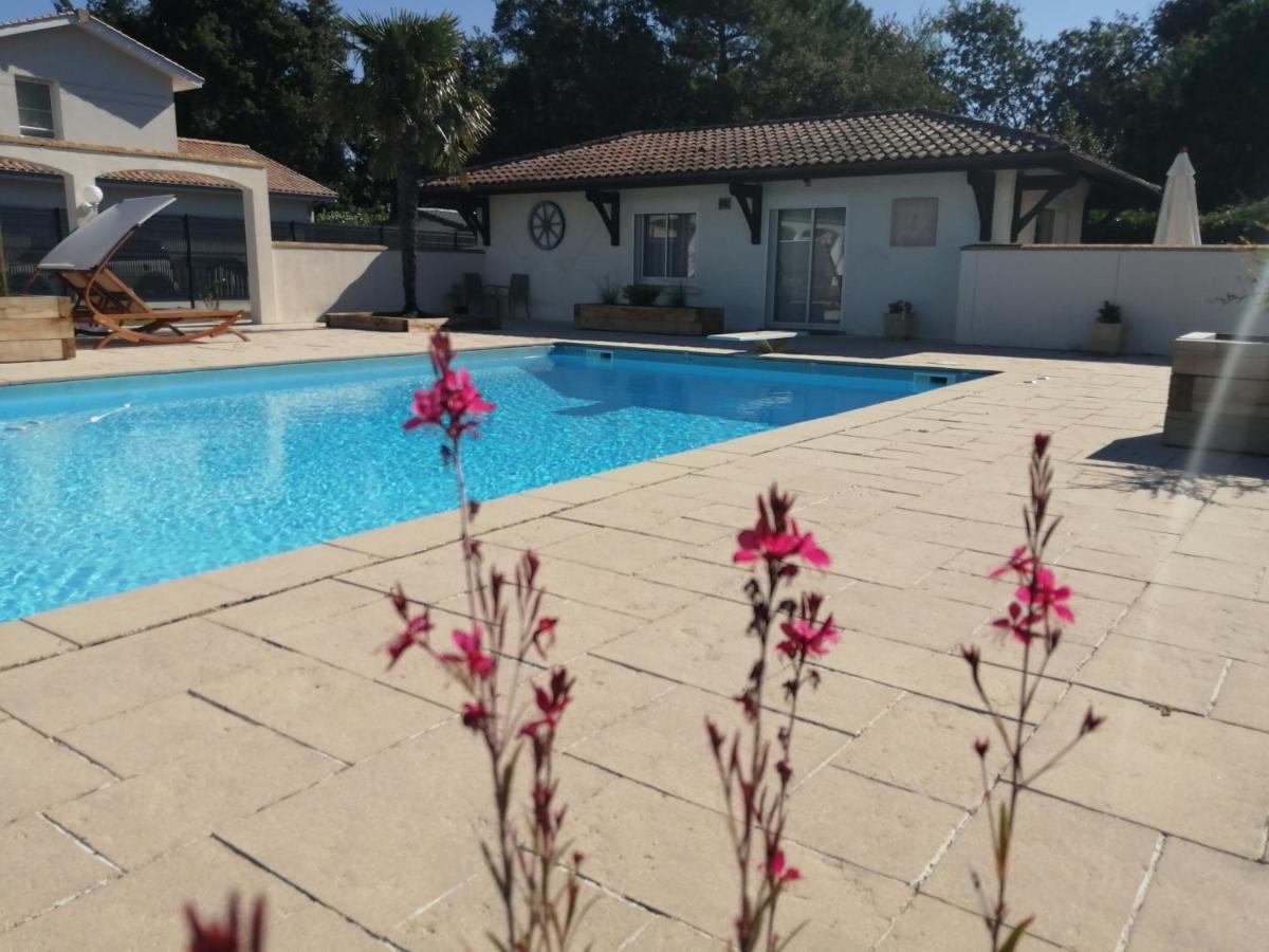 Gite L'Escapade Au Bassin D'Arcachon A بيغانوس المظهر الخارجي الصورة